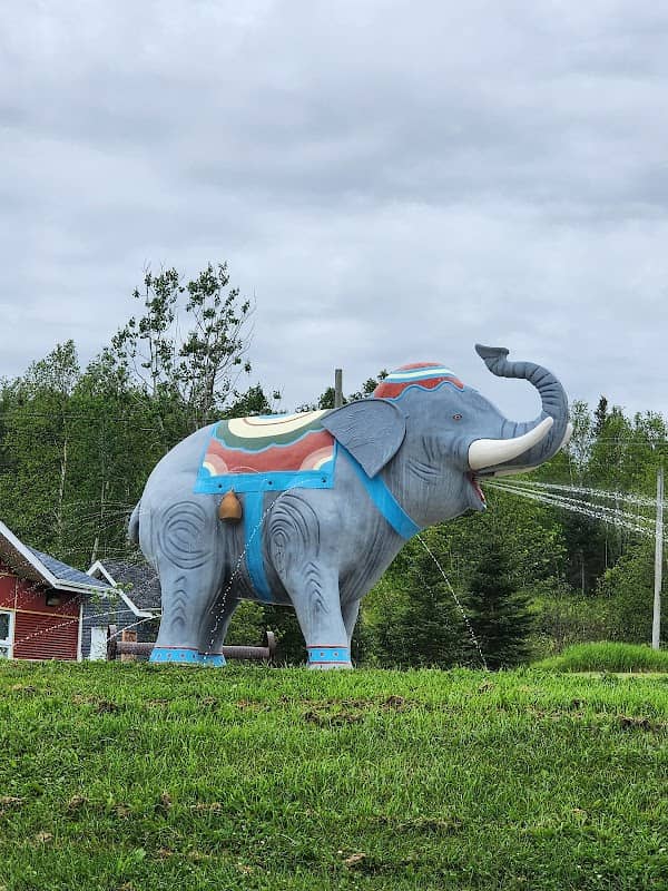 Éléphant'Eau - Image 1