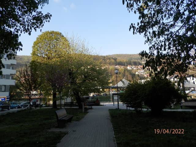 Dušan Knežević Park - Image 1