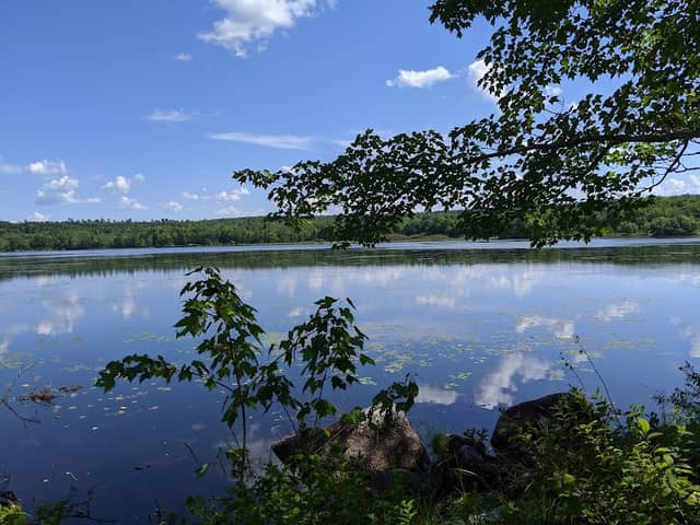 Lions Park & Lake Lawson Nature Trail - Image 1