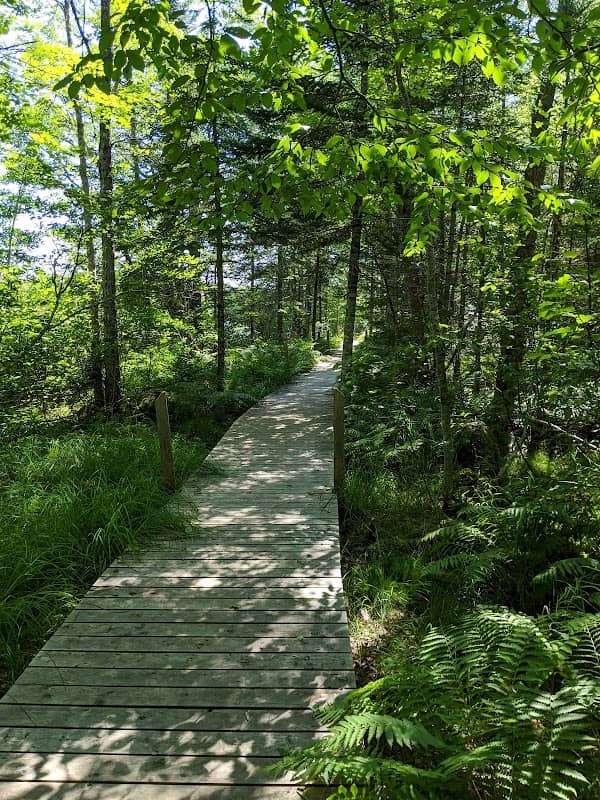Lions Park & Lake Lawson Nature Trail - Image 2