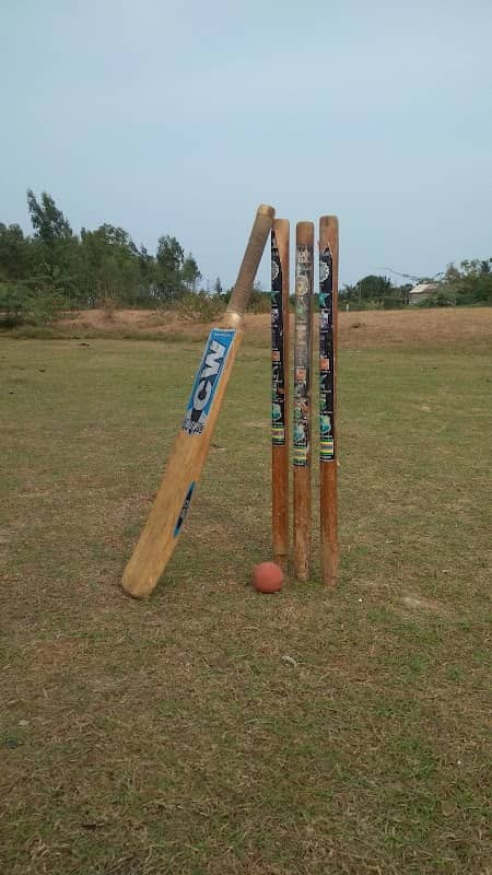Nehru Nagar Park - Image 2