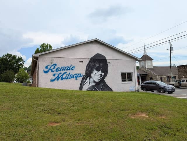 Ronnie Milsap Mural - Image 1