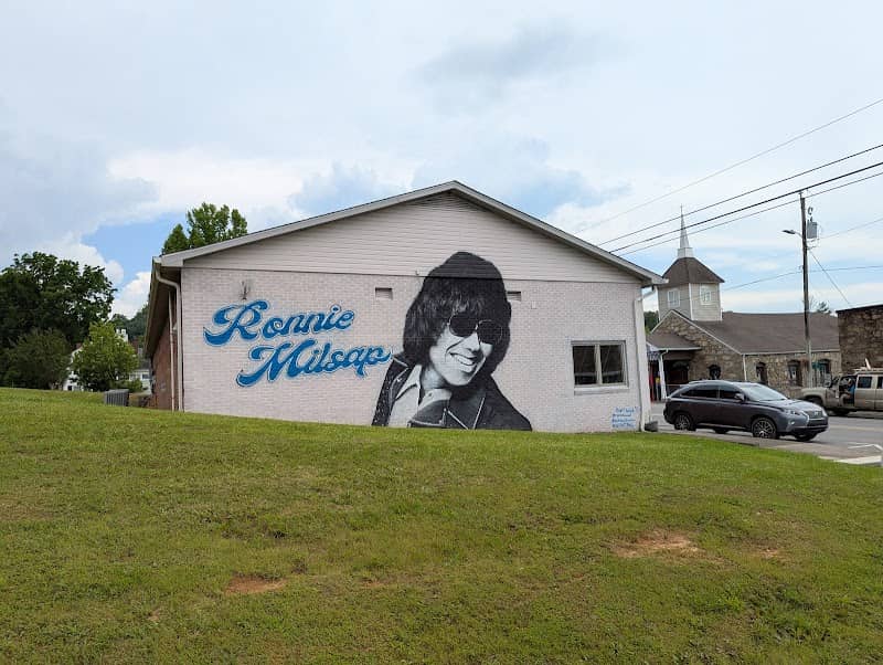 Ronnie Milsap Mural - Image 1