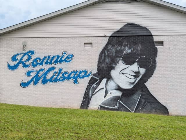 Ronnie Milsap Mural - Image 2