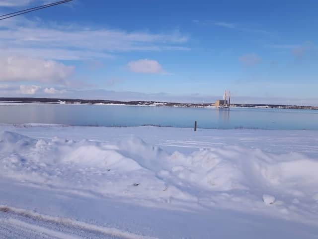 Bird Watching Area - Image 2
