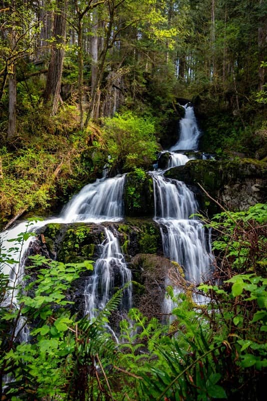 Steelhead Falls - Image 1