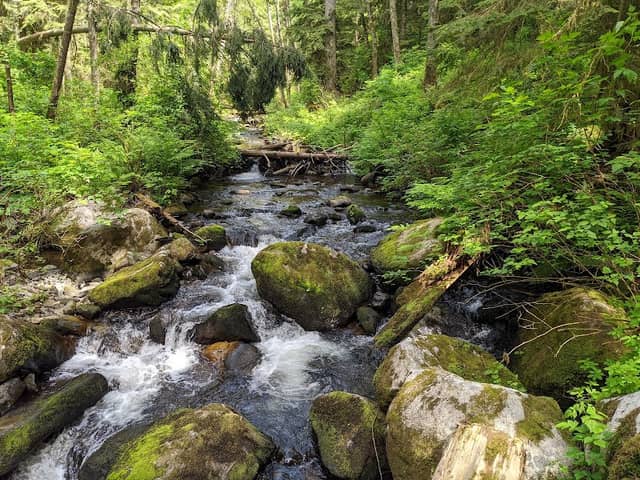 Steelhead Falls - Image 2
