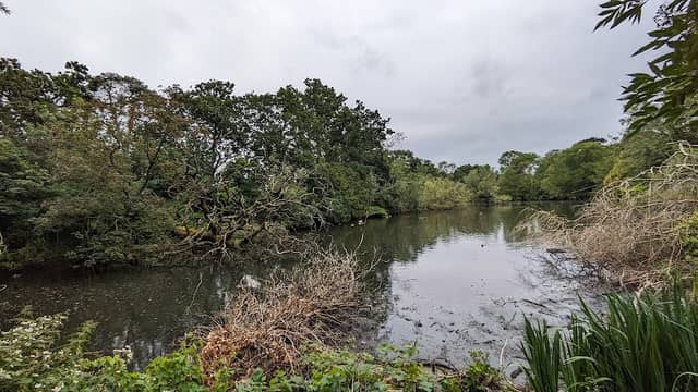 Ewell Court Park - Image 1
