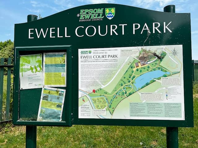 Ewell Court Park - Image 2