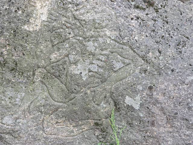 Felsgravur - Image 3