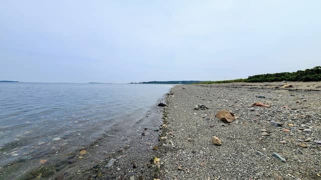 Castalia Marsh Beach - Image 1