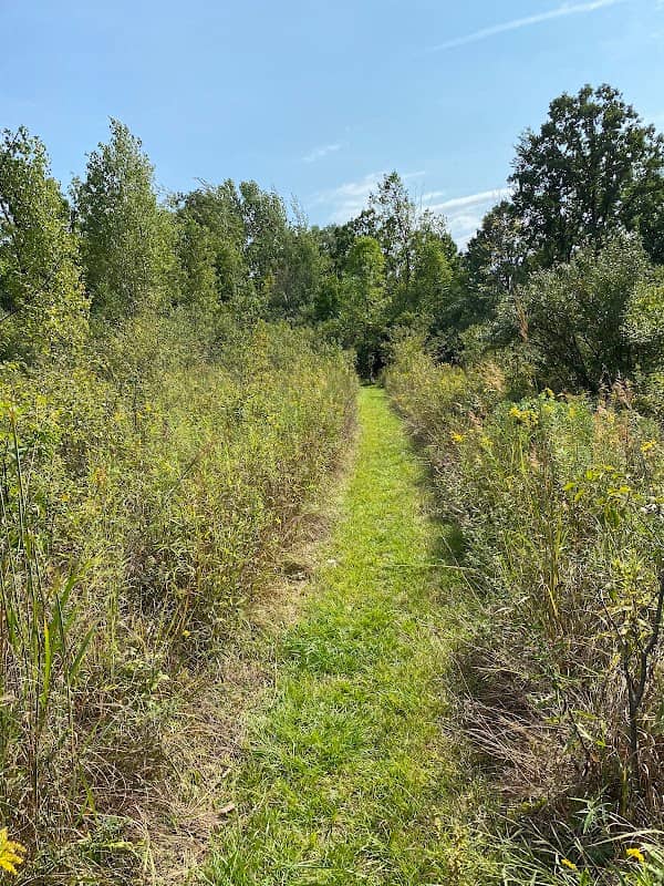 Lincoln Woods Nature Preserve - Image 1