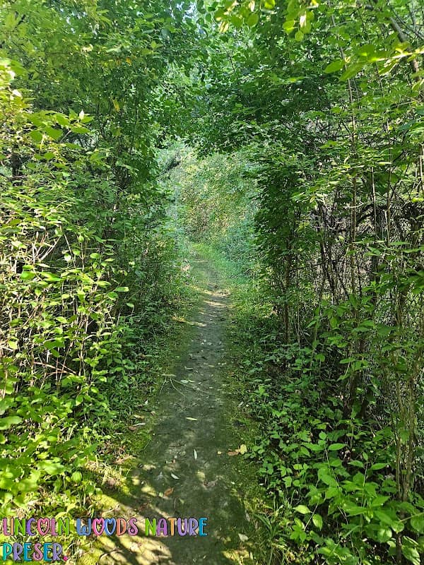 Lincoln Woods Nature Preserve - Image 2
