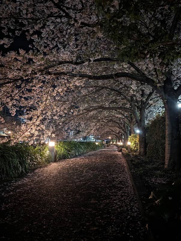 新川さくら館前和船乗り場 - Image 3