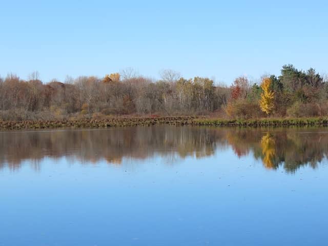Ionia Field Trail Grounds - Image 1