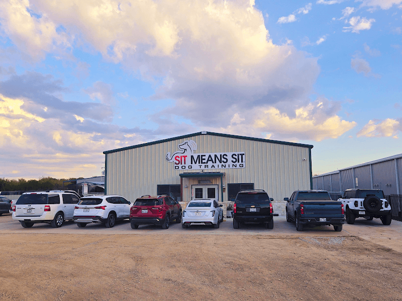 Sit Means Sit Dog Training Metroplex East - Image 1