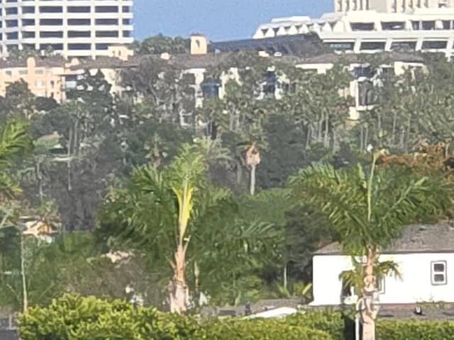 Newport Beach back bay - Image 1