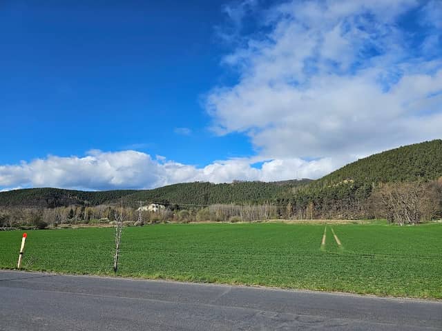 Blick zu Kulm&Sandberge - Image 1