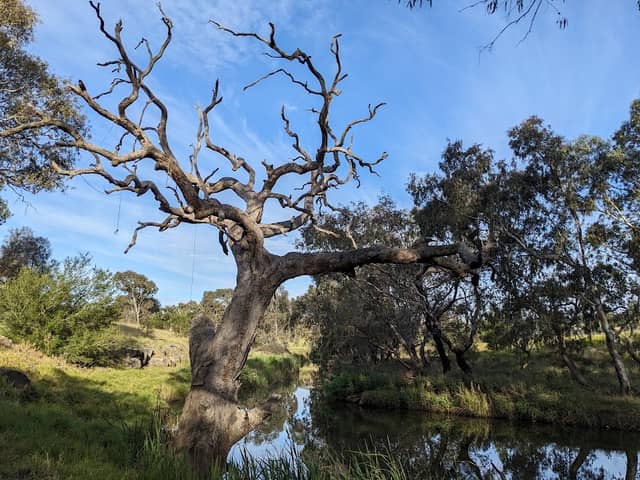 Bullum Bullum Reserve - Image 2