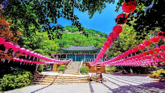 범륜사 - Image 1