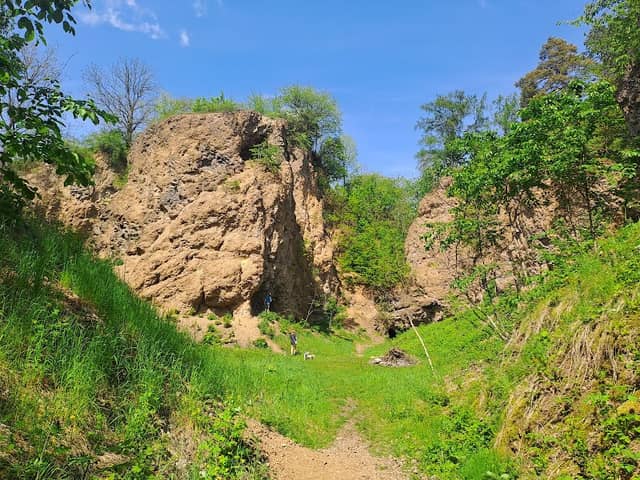 Hřídelecká hůra - Image 1