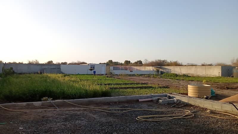 Abdullah’s Farm - Image 1