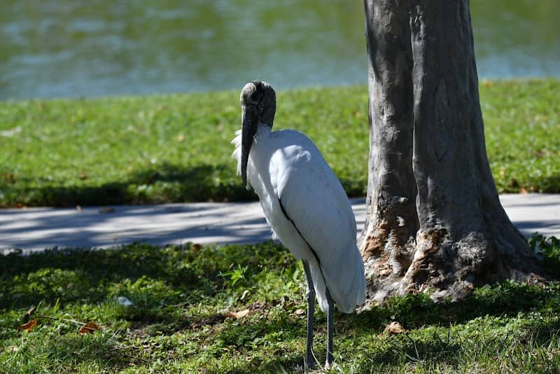 Ocala Nature Park - Image 1