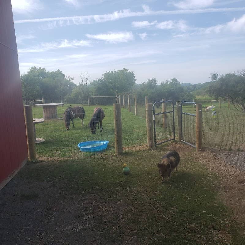 Gridley's Farm - Image 1