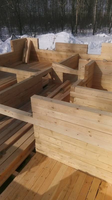 Zorkaltsev cedar - Image 1