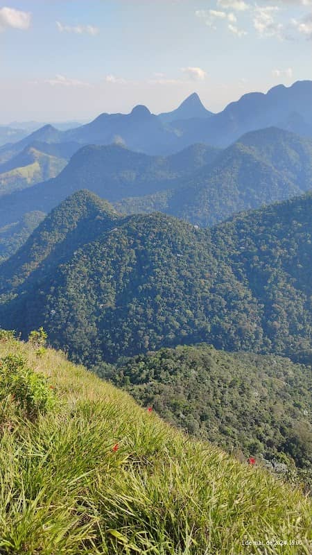 Santo Aleixo - Image 1