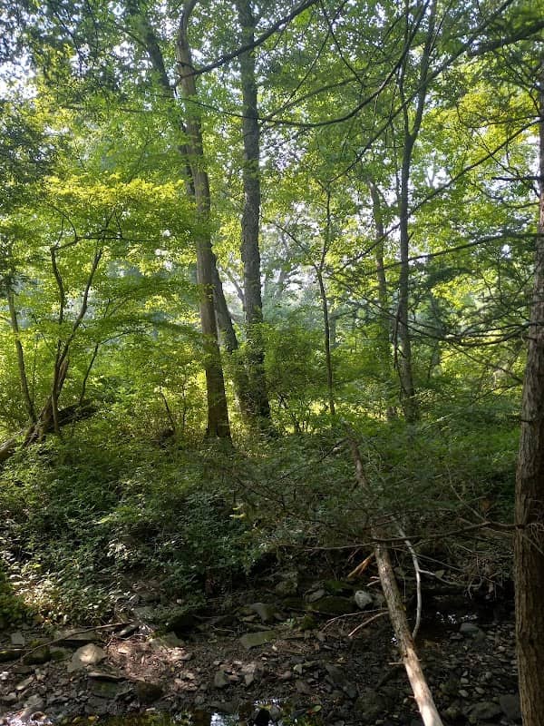 Connecticut Audubon Society--Center at Pomfret - Image 2