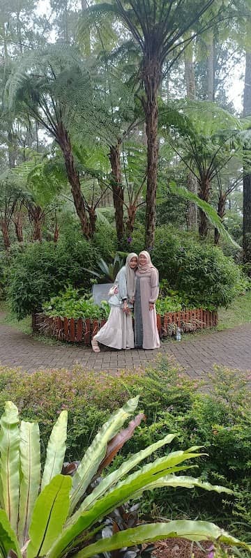 DWL Forest - Image 1