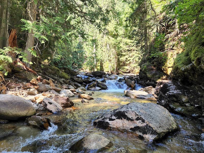 Myrtle Falls Trail - Image 2