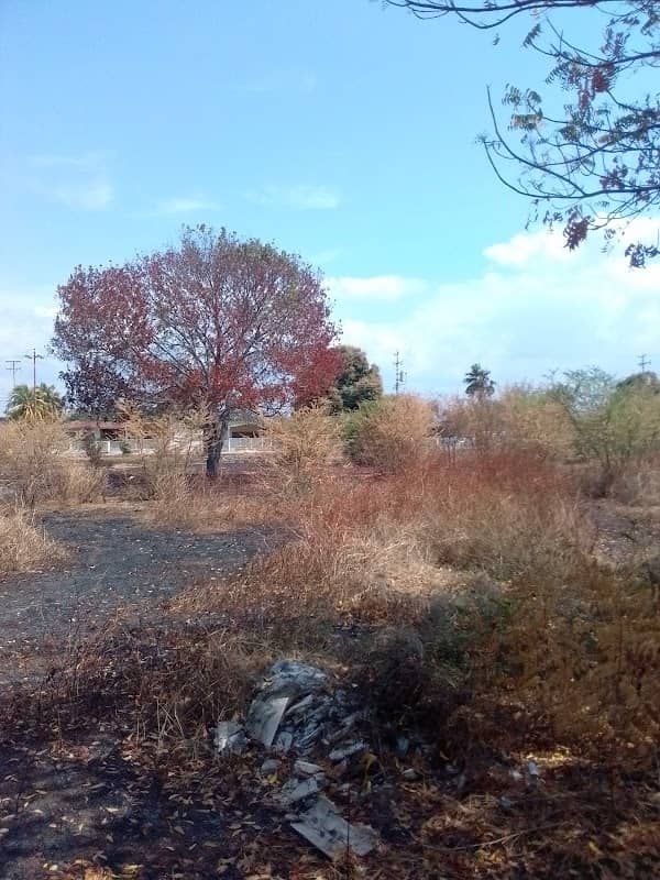 Parque Carabobo - Image 1