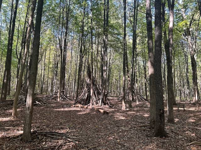 Bauervic Woods Park - Image 2