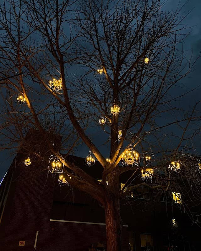 Chandelier Tree - Image 1