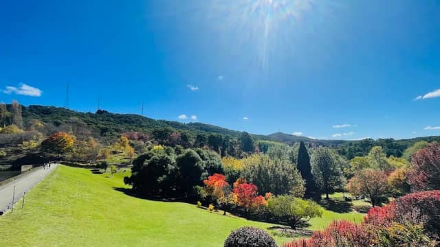 Mount Lofty Botanic Park - Image 3