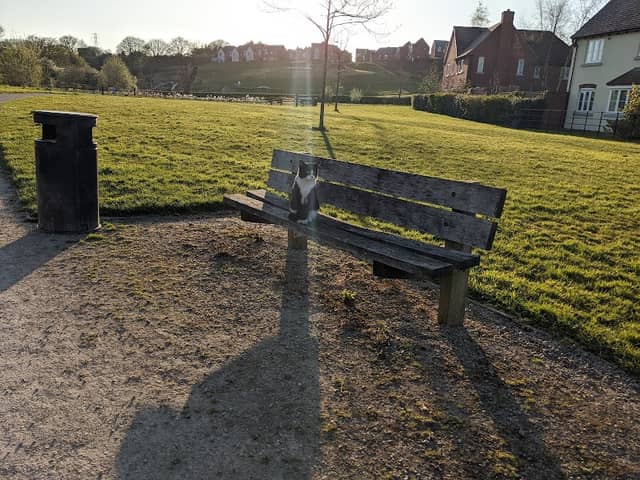 Holywell Meadow - Image 2