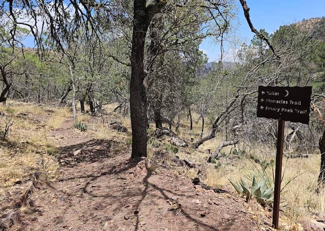 Boot Canyon Trail - Image 1