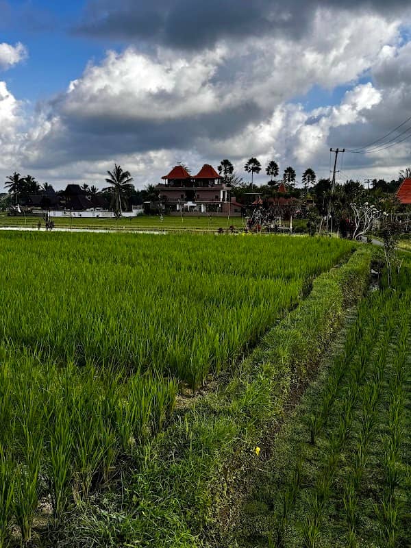 Swing road - Image 1