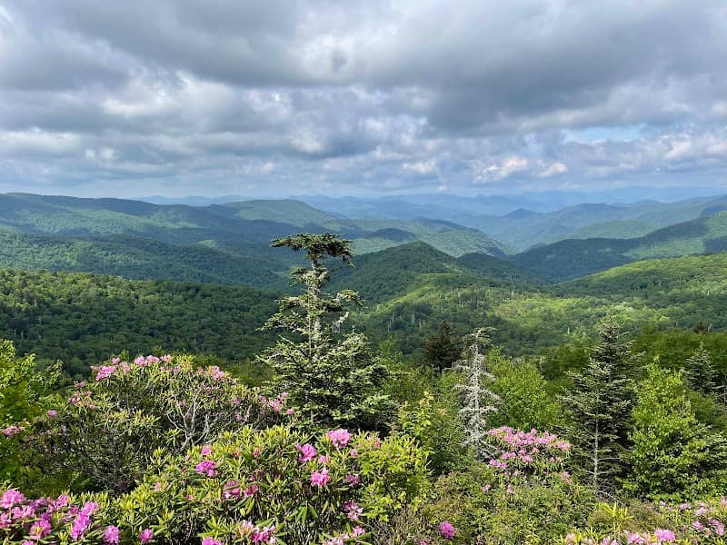Beartrap Gap Overlook - Image 3