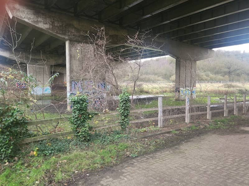 Low Well Wood - Mardyke Woods - Image 2