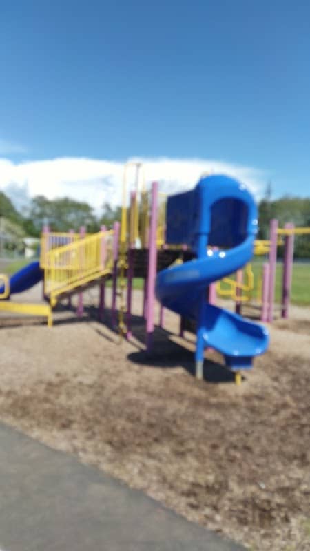 Lions Park - Image 2
