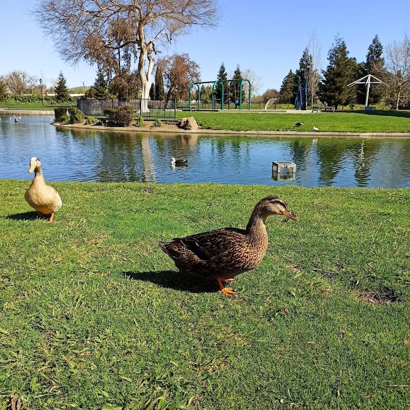 Dover Park - Image 2