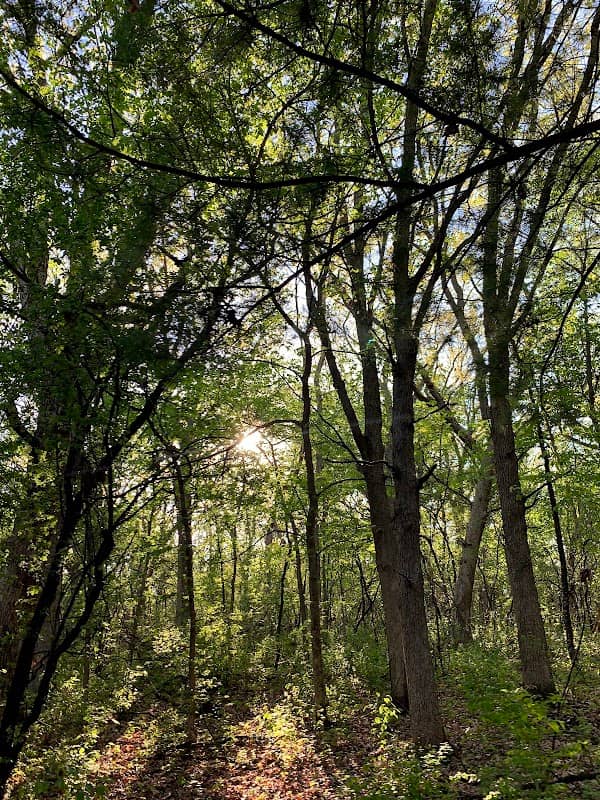 Alimagnet Park - Image 3