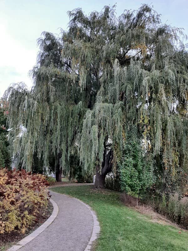 Parc du Ruisseau - Image 1