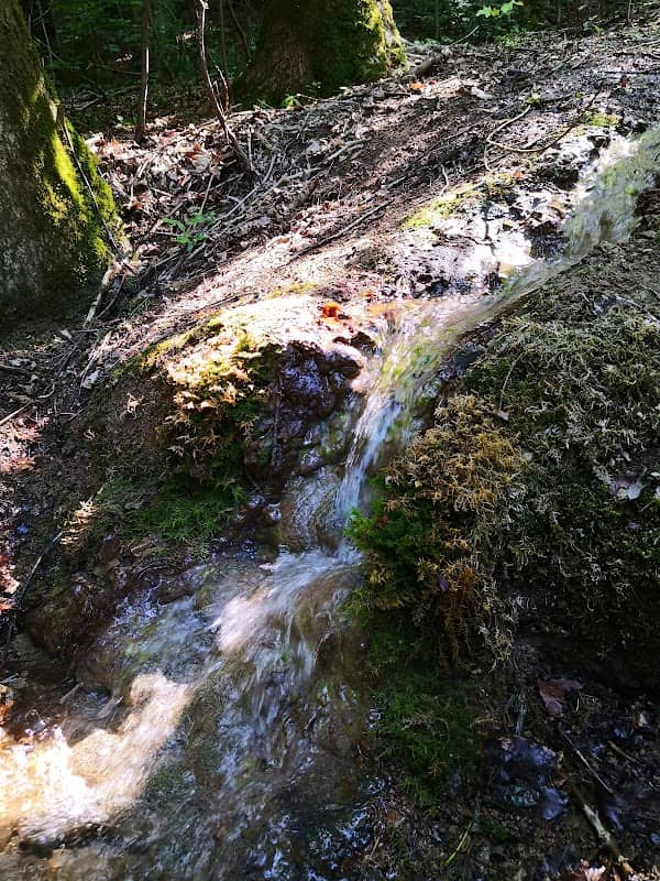 Steinerne Rinne bei Raschbach - Image 1