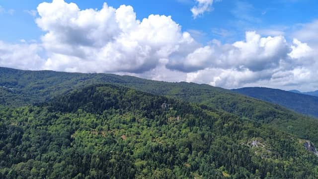 Кичинички Камен - Image 1