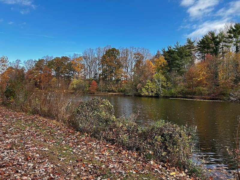 Cooper Street Park - Image 1