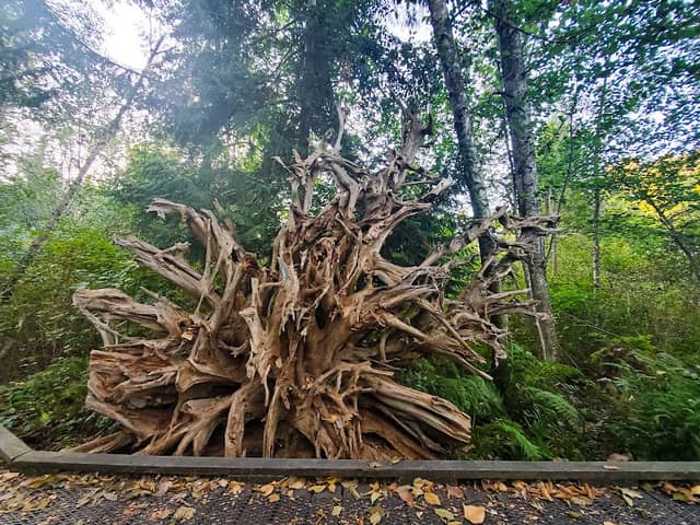 Old Riverside Park - Image 2